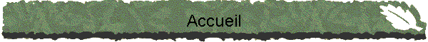 Accueil