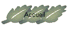 Accueil